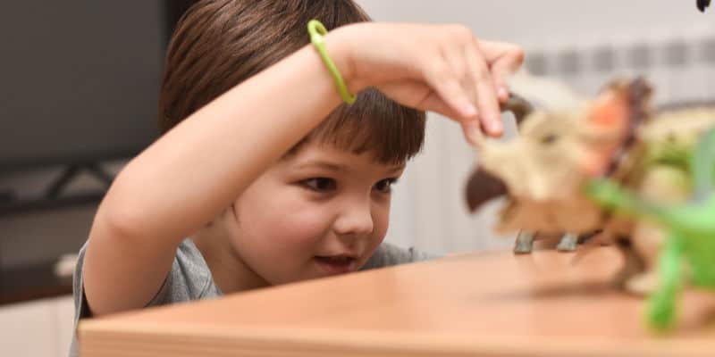 child focusing on playing with dinosaurs