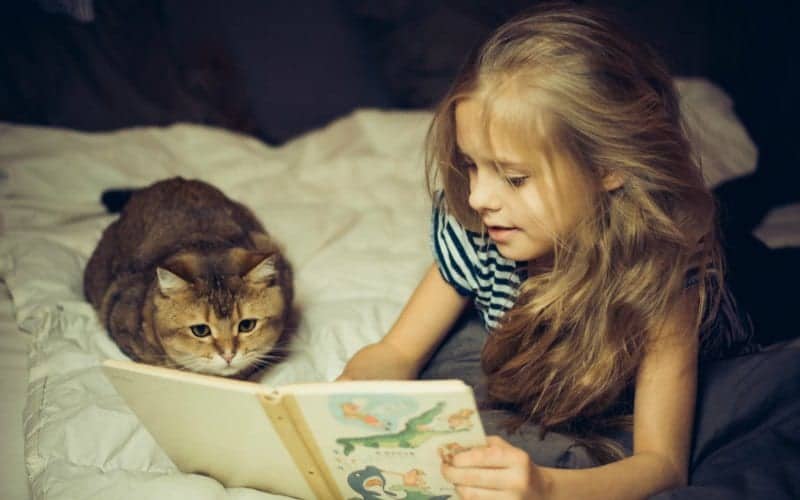 little girl relaxing and reading book on bed with a cat