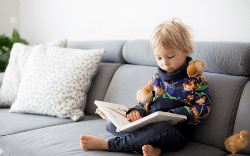 Boy is reading children's book for starting school. 